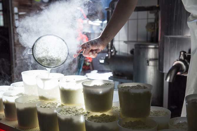 Chäsgschichten Leistungen